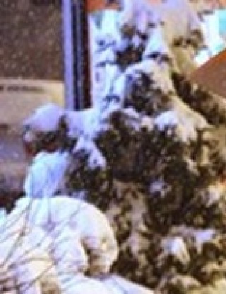 Отново отлагат подновяването на сръбското първенство