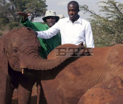 Яя Туре се ангажира със защитата на слоновете