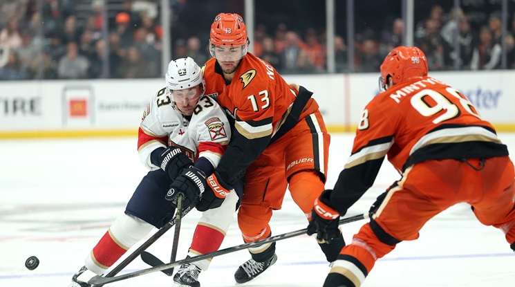 Анахайм Дъкс - Флорида Пантърс (репортаж)