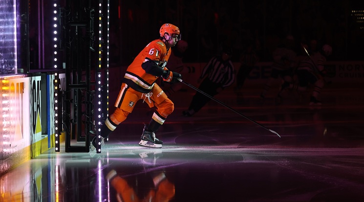 Анахайм Дъкс - Едмънтън Ойлърс (репортаж)