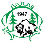 Сокол Зуброглава