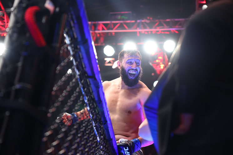 Доминик Рейес