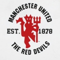 the_red_devil_