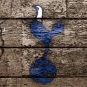 FCTottenham1882